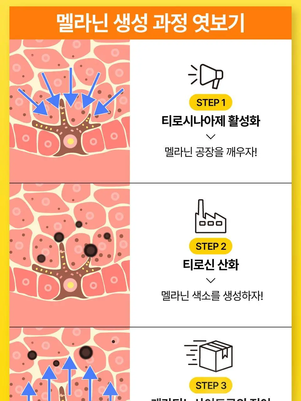 [흔적미백] 넘버즈인 5번 글루타치온씨 비타수액 에센셜 토너 200ml 상세페이지 11